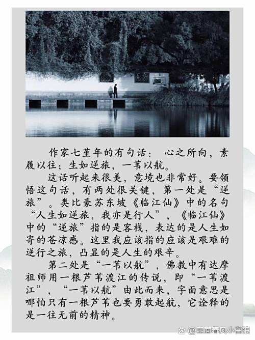心之所向素履以往的意思